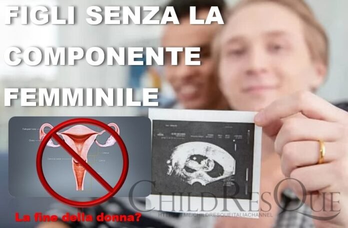 Ovociti da maschi