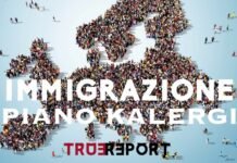 IMMIGRAZIONE E IL PIANO KALERGI. CHI TIRA LE FILA?