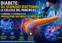 DIABETE: GLI SCIENZIATI RIATTIVANO LE CELLULE DEL PANCREAS E APRONO LA STRADA ALLA PRODUZIONE NATURALE DI INSULINA