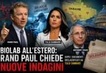 Rand Paul rilancia il caso dei biolaboratori all’estero: dopo i documenti declassificati da Tulsi Gabbard torna il dibattito sui programmi biologici americani