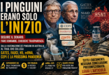 Dai pinguini all’H5N1: Gates, Fauci, ricerca sui virus e vaccini. Seguire il denaro senza inventare la conclusione